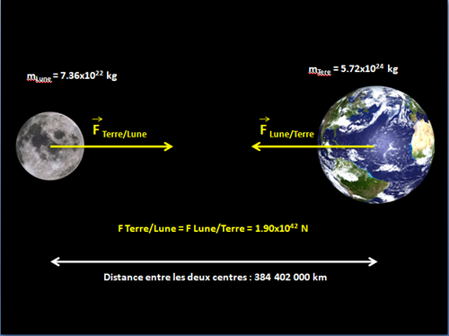 Calendrier lunaire